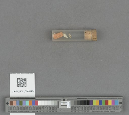 NSF ADBC EPICC TCN
