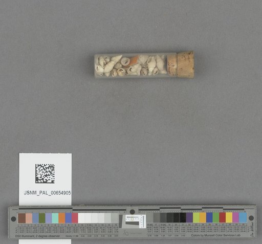 NSF ADBC EPICC TCN
