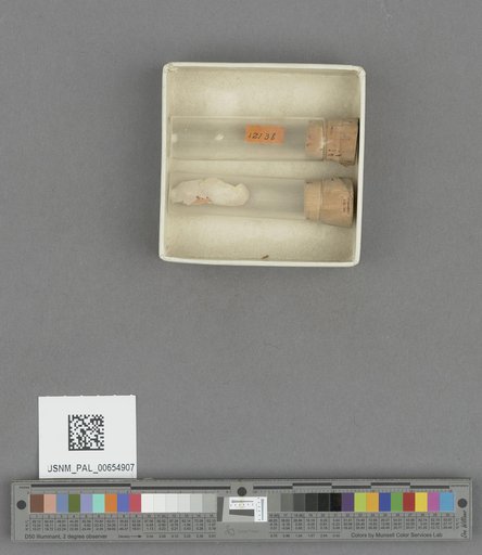 NSF ADBC EPICC TCN