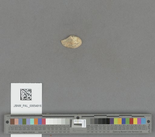 NSF ADBC EPICC TCN