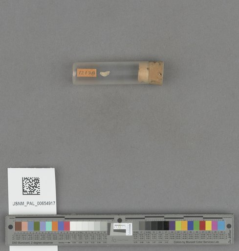 NSF ADBC EPICC TCN