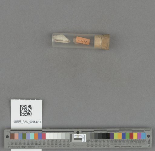 NSF ADBC EPICC TCN
