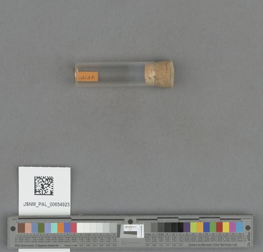 NSF ADBC EPICC TCN