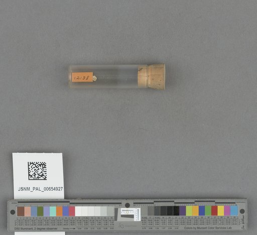 NSF ADBC EPICC TCN