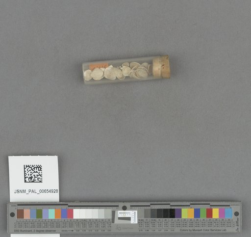 NSF ADBC EPICC TCN