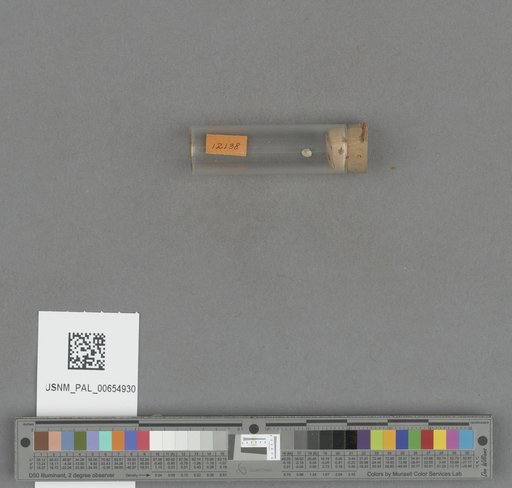 NSF ADBC EPICC TCN