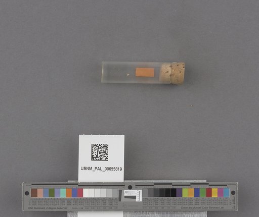 NSF ADBC EPICC TCN