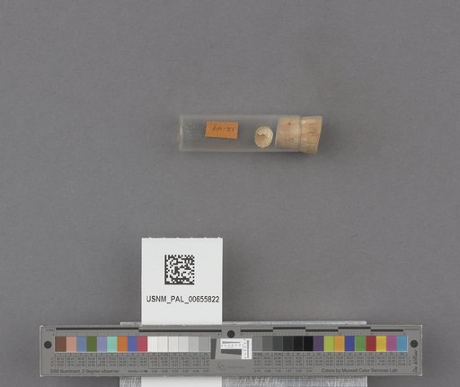 NSF ADBC EPICC TCN