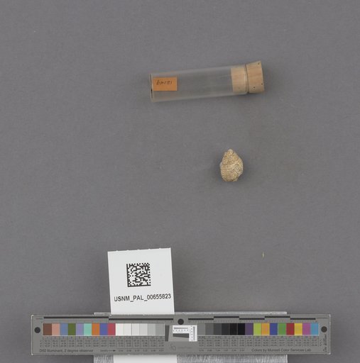 NSF ADBC EPICC TCN
