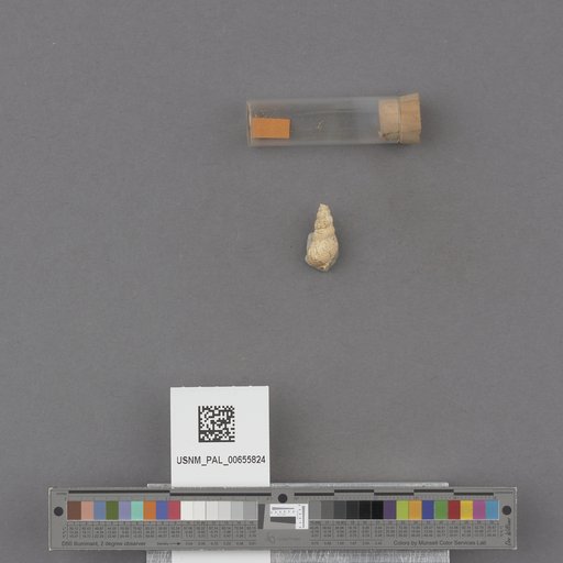 NSF ADBC EPICC TCN