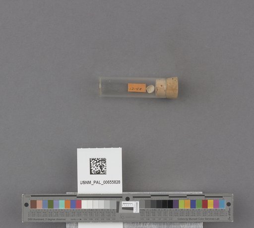 NSF ADBC EPICC TCN