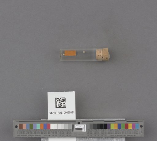NSF ADBC EPICC TCN