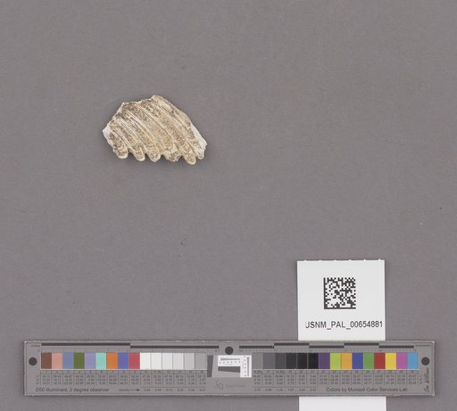 NSF ADBC EPICC TCN