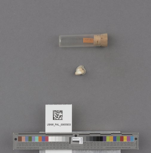 NSF ADBC EPICC TCN
