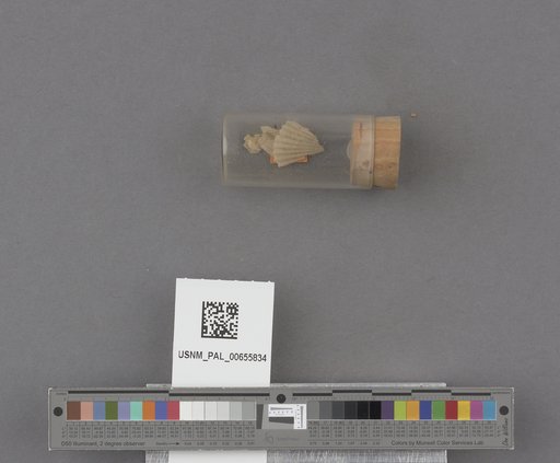 NSF ADBC EPICC TCN