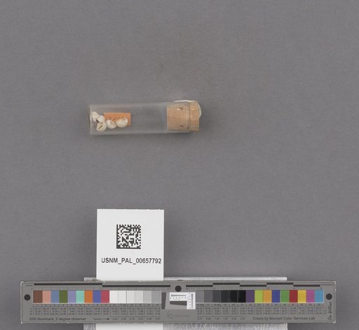 NSF ADBC EPICC TCN