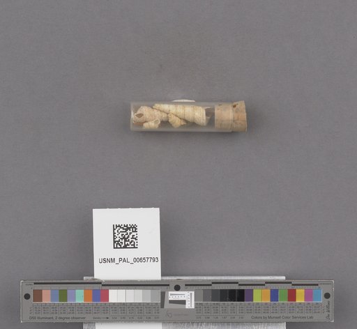 NSF ADBC EPICC TCN