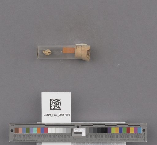NSF ADBC EPICC TCN
