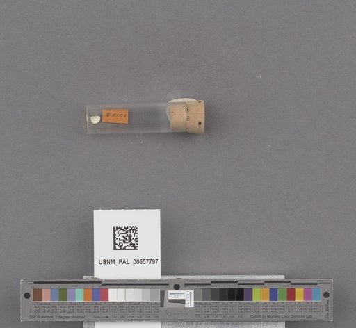 NSF ADBC EPICC TCN