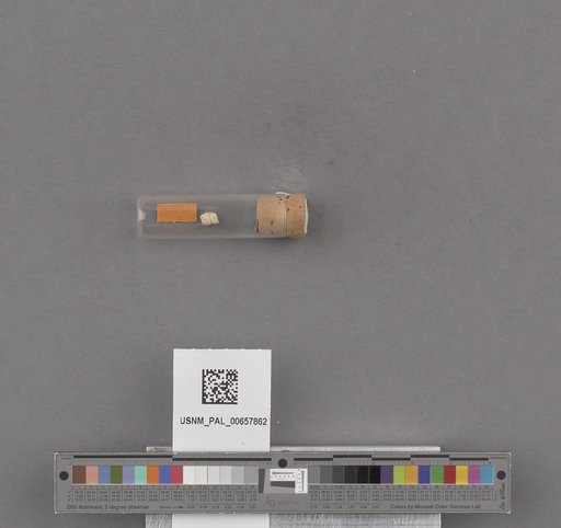 NSF ADBC EPICC TCN