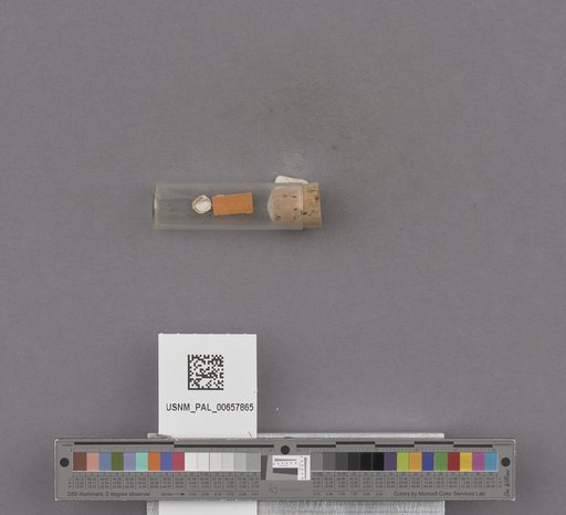 NSF ADBC EPICC TCN