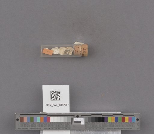 NSF ADBC EPICC TCN