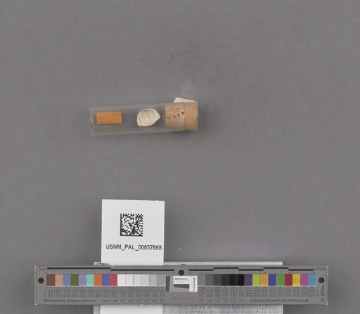 NSF ADBC EPICC TCN