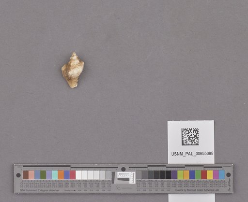 NSF ADBC EPICC TCN