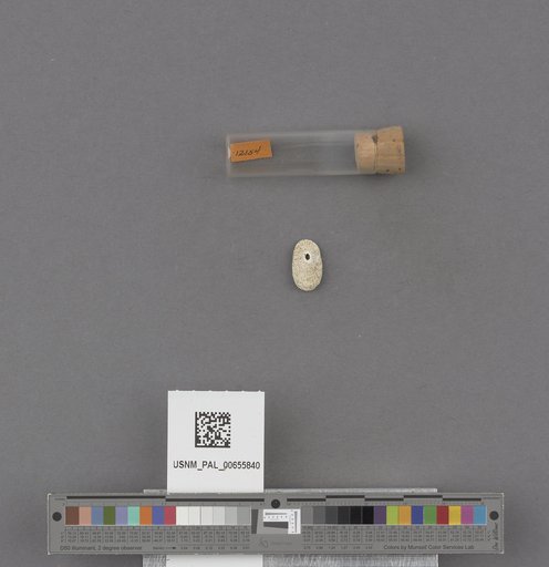 NSF ADBC EPICC TCN