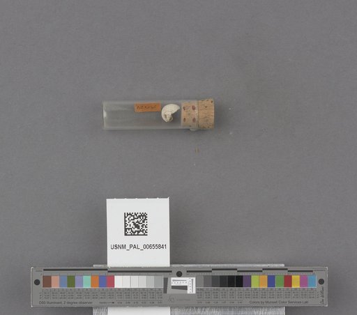 NSF ADBC EPICC TCN