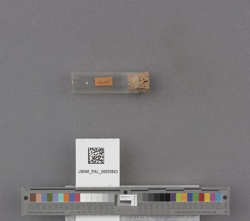 NSF ADBC EPICC TCN