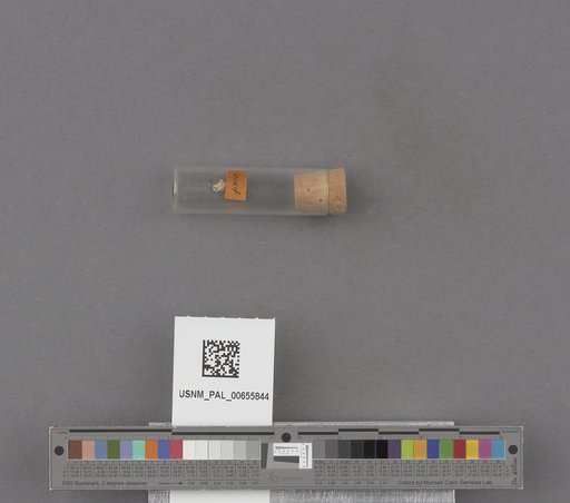 NSF ADBC EPICC TCN