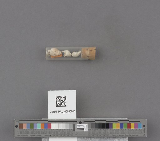 NSF ADBC EPICC TCN