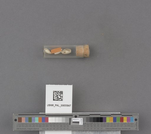 NSF ADBC EPICC TCN