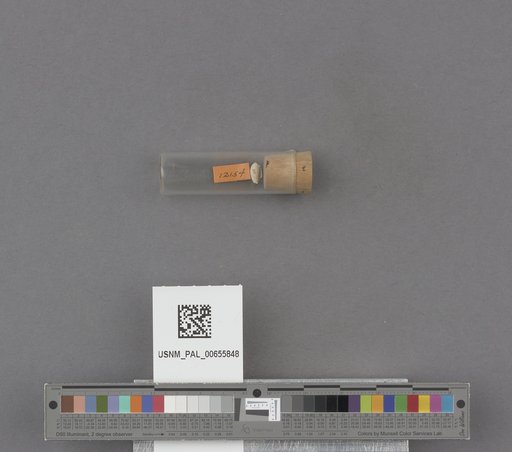 NSF ADBC EPICC TCN