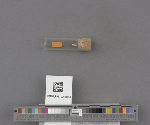 NSF ADBC EPICC TCN