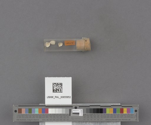 NSF ADBC EPICC TCN