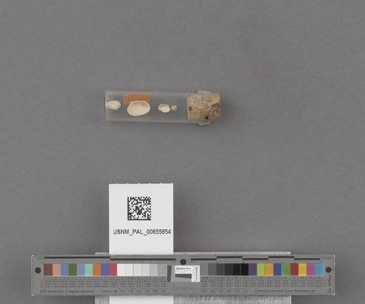 NSF ADBC EPICC TCN