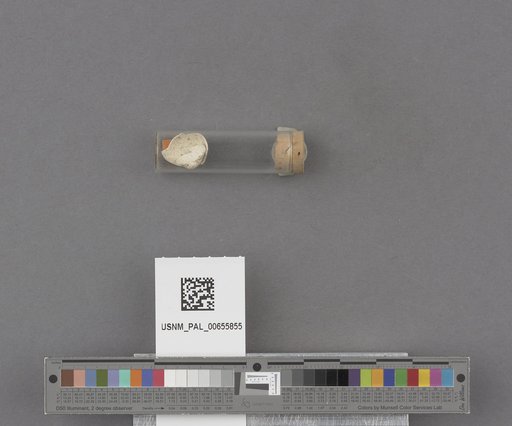 NSF ADBC EPICC TCN