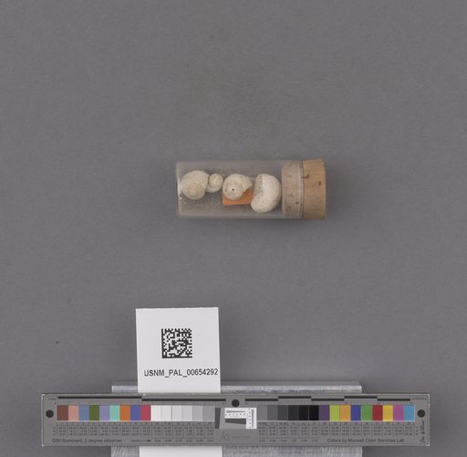 NSF ADBC EPICC TCN