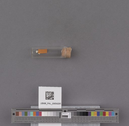 NSF ADBC EPICC TCN