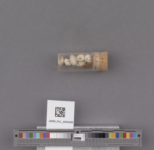 NSF ADBC EPICC TCN