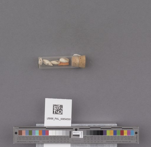 NSF ADBC EPICC TCN
