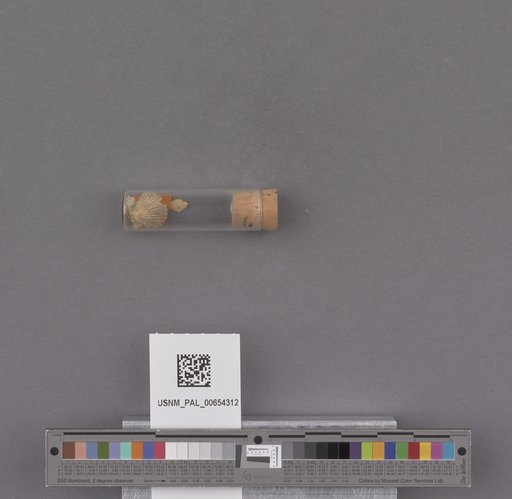 NSF ADBC EPICC TCN