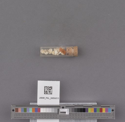 NSF ADBC EPICC TCN