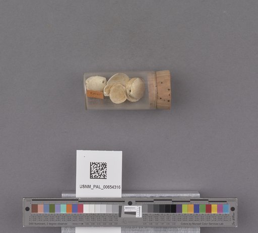 NSF ADBC EPICC TCN