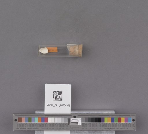 NSF ADBC EPICC TCN