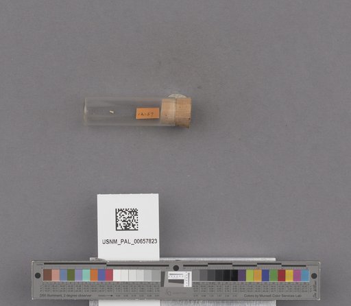 NSF ADBC EPICC TCN