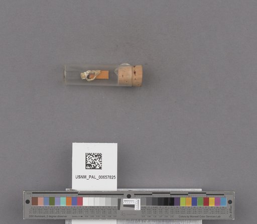 NSF ADBC EPICC TCN