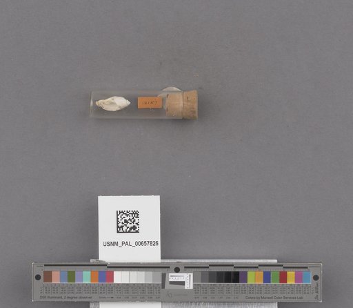 NSF ADBC EPICC TCN